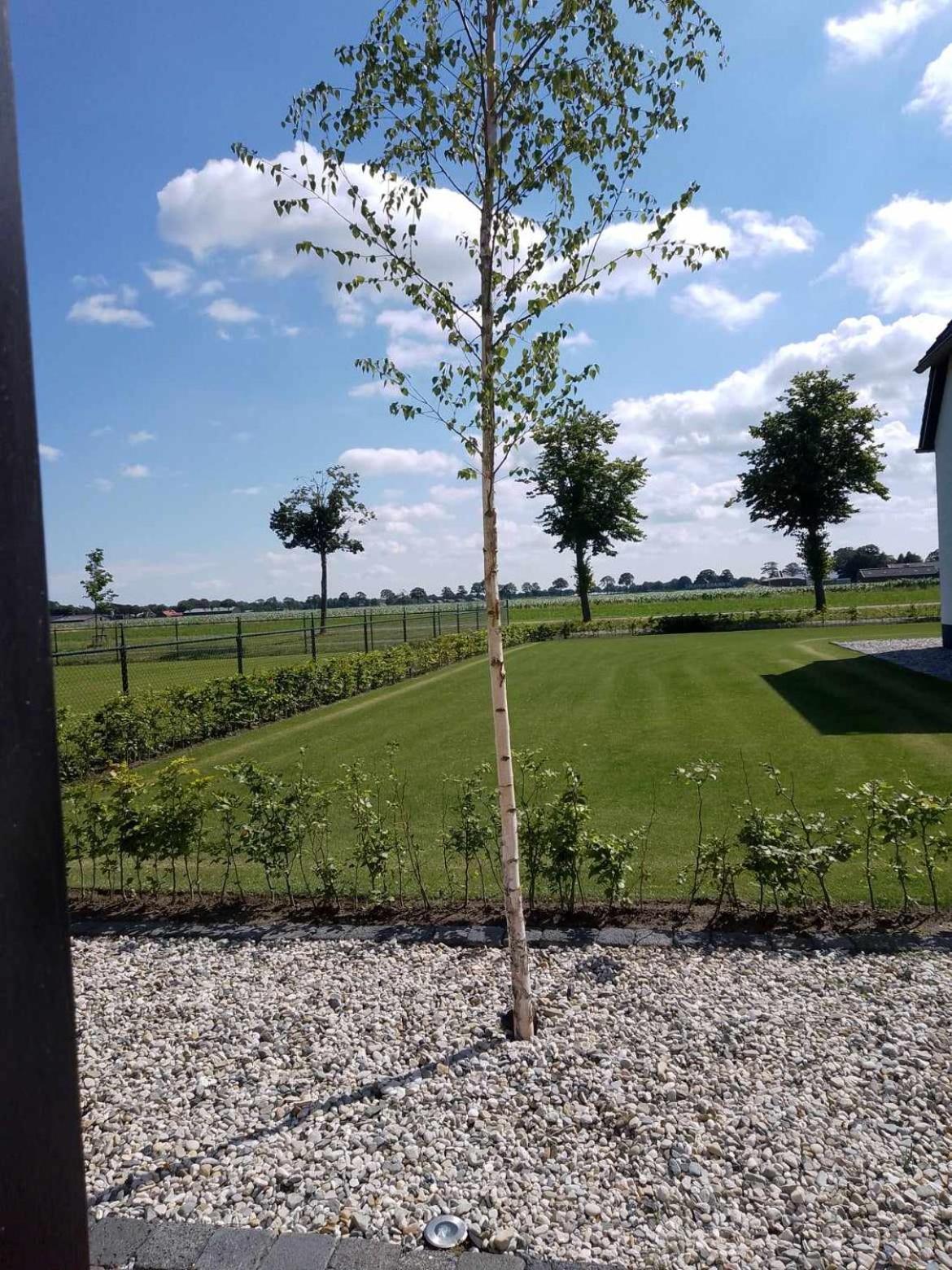 Ut Witte Huisje Venhorst Buitenkant foto