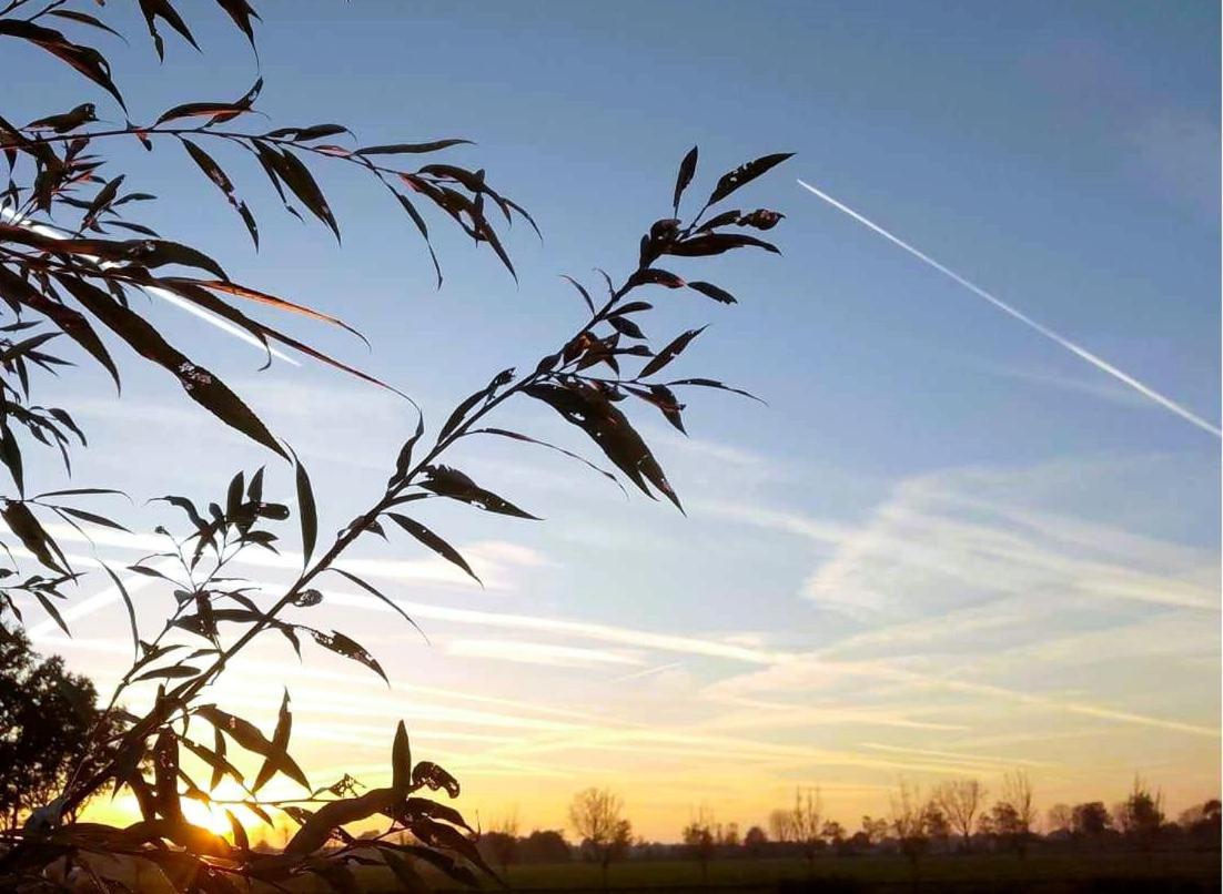 Ut Witte Huisje Venhorst Buitenkant foto