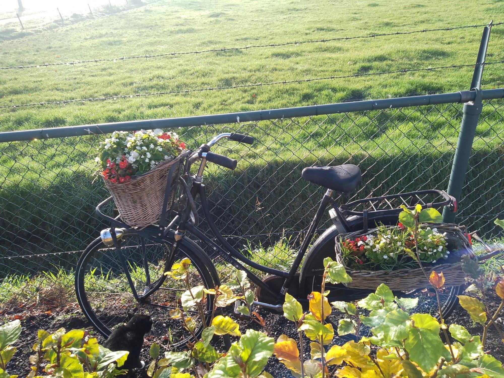 Ut Witte Huisje Venhorst Buitenkant foto