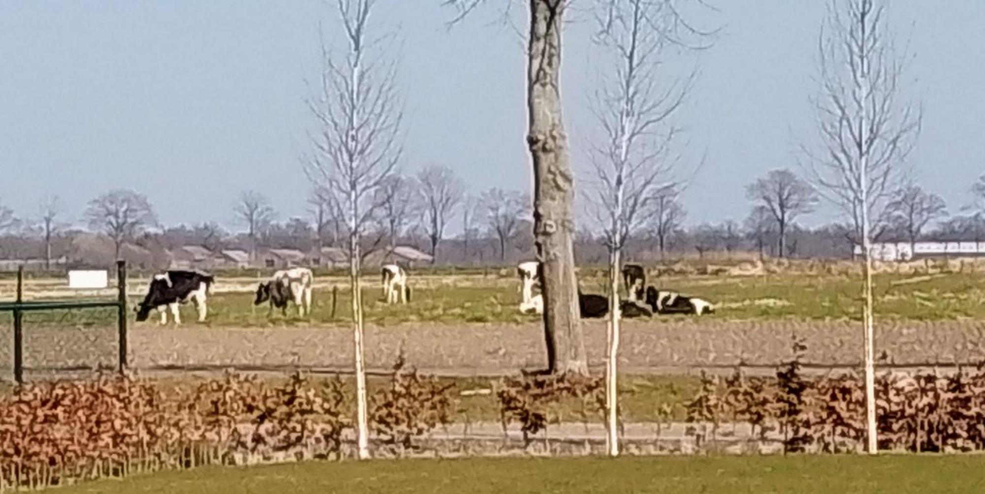 Ut Witte Huisje Venhorst Buitenkant foto